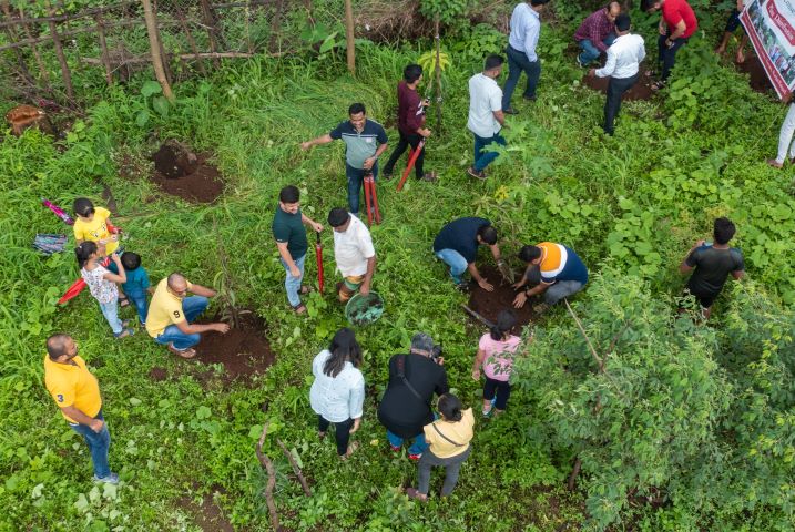 Allcargo Group Aims To Plant 5 Million Saplings By 2030